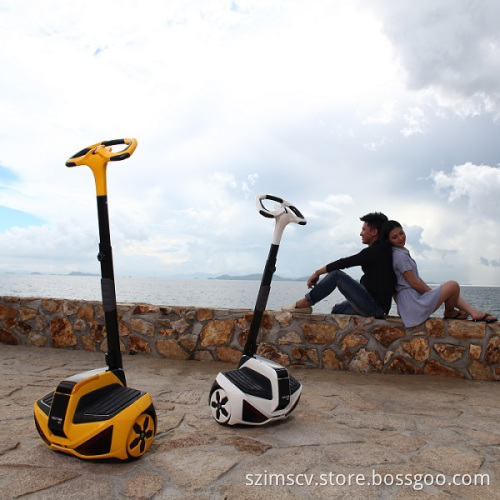 Self-Balancing Electric Motorcycle